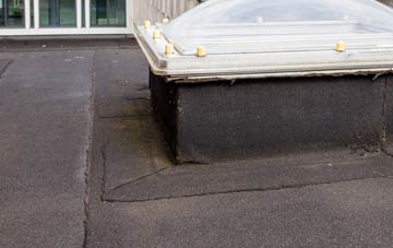 disadvantages of Brushes flat roofs